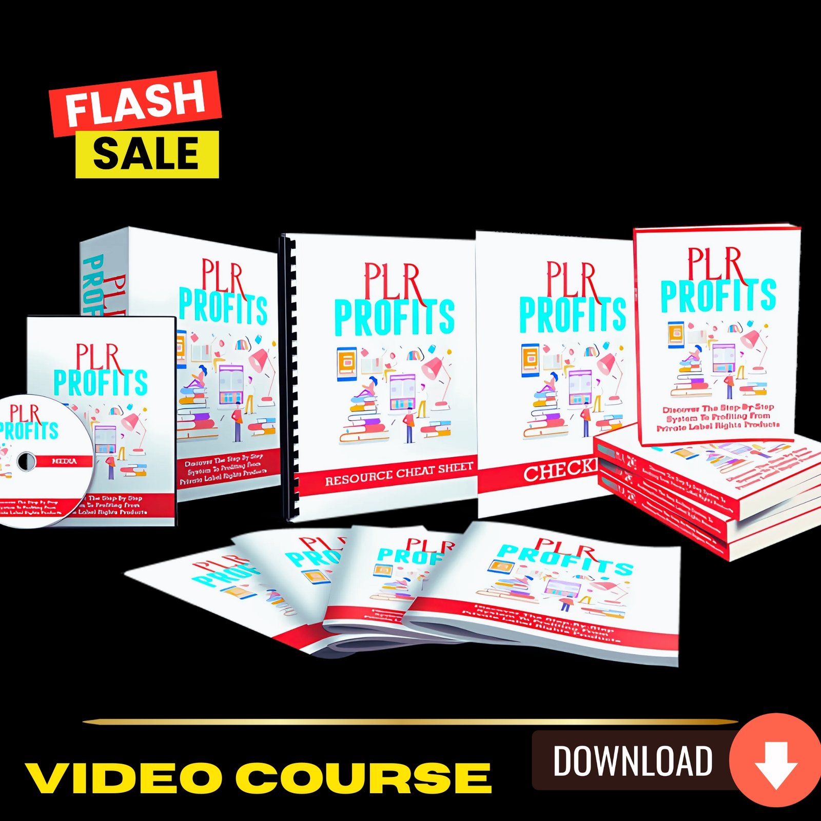 PLR Profits Upgrade Package (Video Course)
