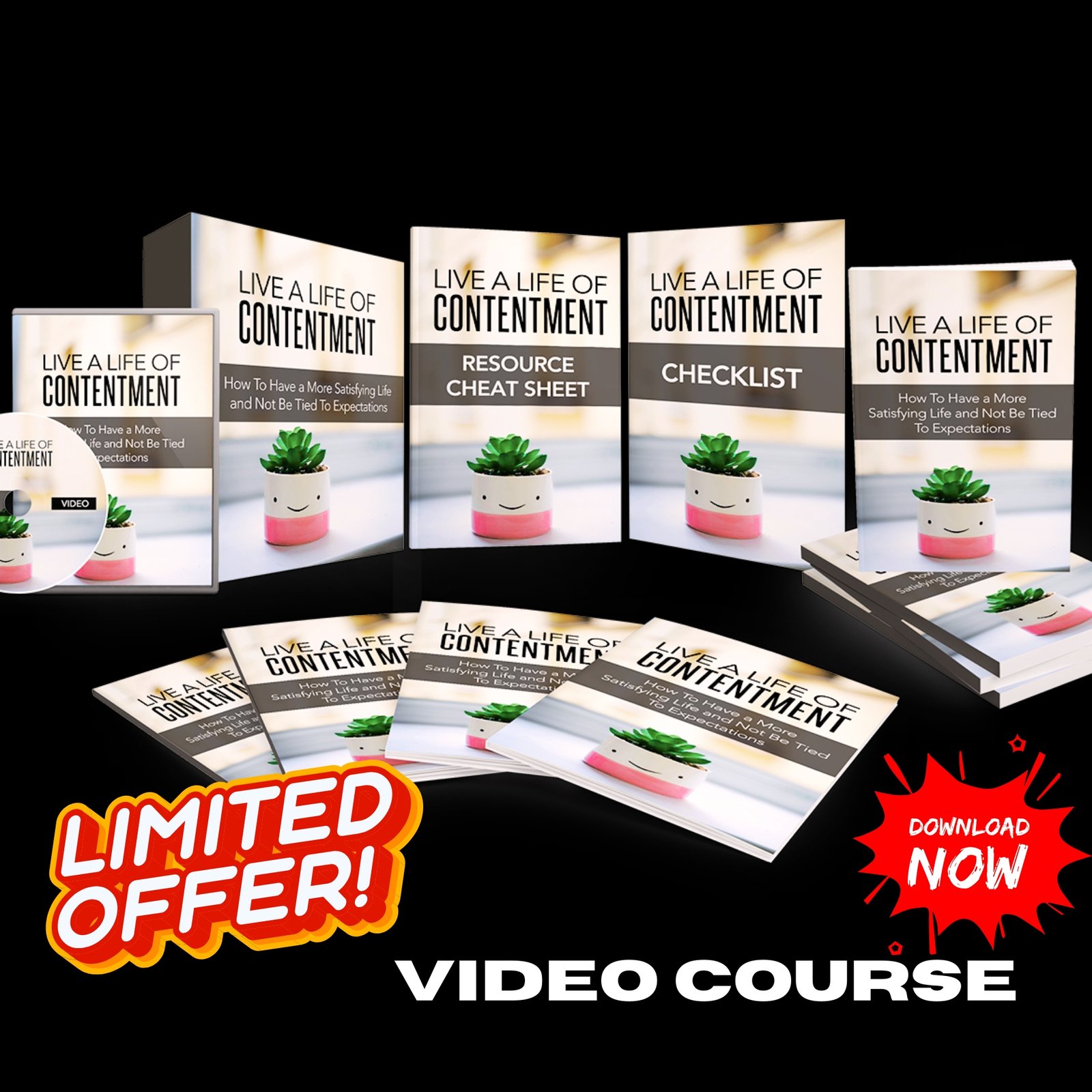Life Of Contentment Upgrade Package (Video Course) - Image 2